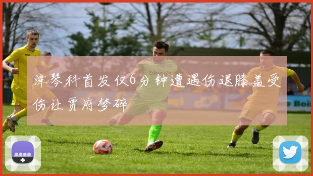 津琴科首发仅6分钟遭遇伤退膝盖受伤让贾府梦碎