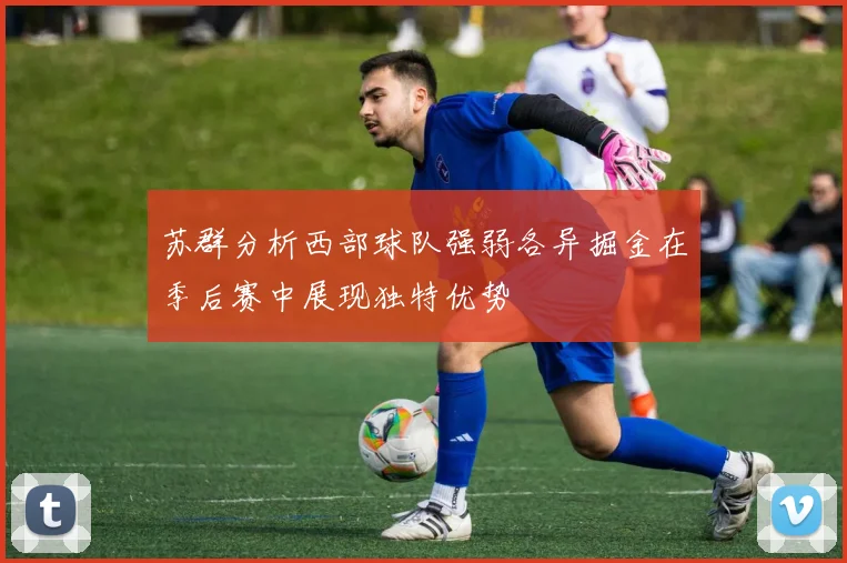 苏群分析西部球队强弱各异掘金在季后赛中展现独特优势